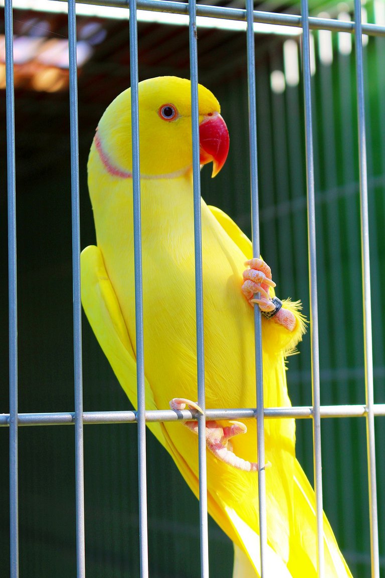 Sítio Pedacinho do Céu em Mairiporã-SP