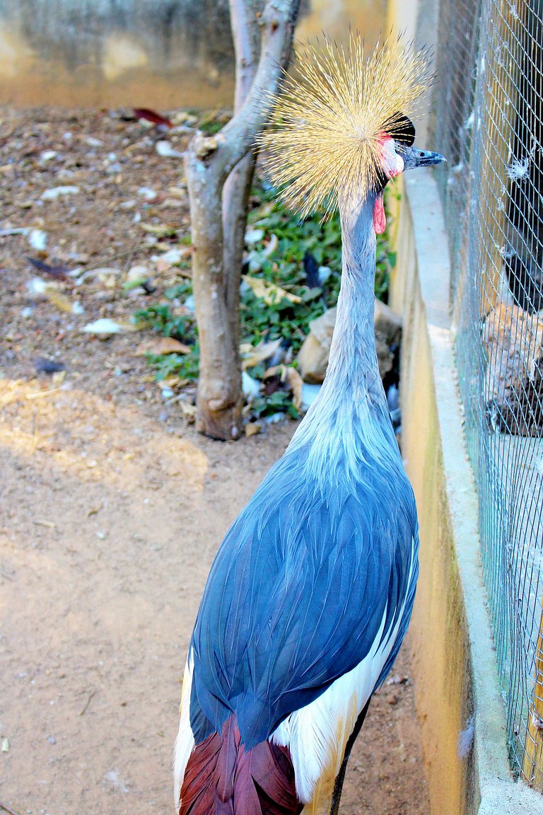 Sítio Pedacinho do Céu em Mairiporã-SP